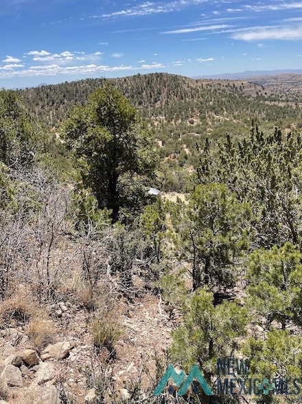 Lot 19 Mountain Air Dr, Timberon, NM 88350