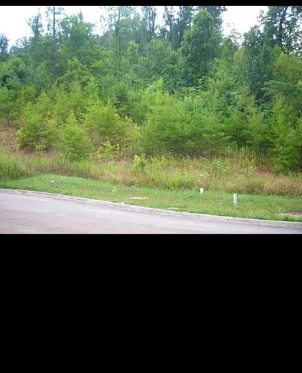 54 Chestnut Hill Ln, Knoxville, TN 37924