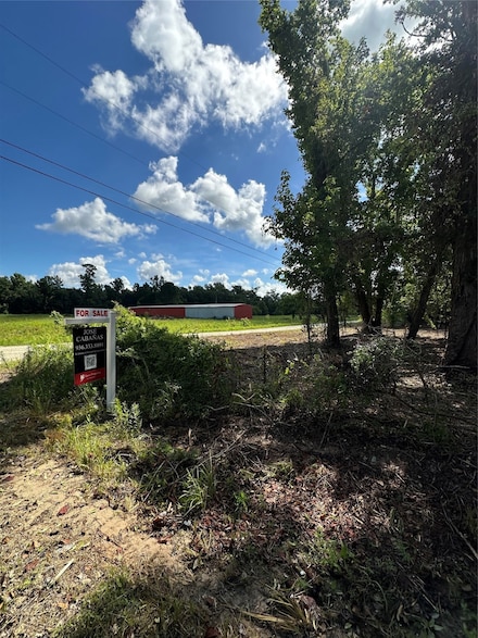 000 Red Oak Dr, Plantersville, TX 77363