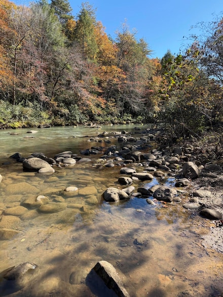 3895 Coppinger Cove Rd, Sequatchie, TN 37374