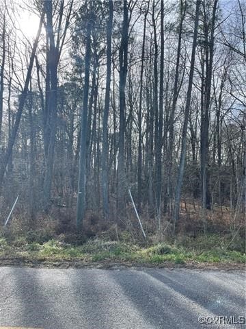 .75 Travellers Rd, King & Queen, VA 23156