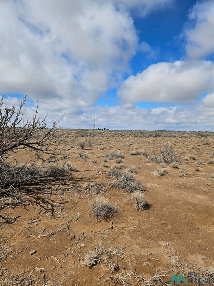 XXXX SE Tracadero Rd SE, Deming, NM 88030