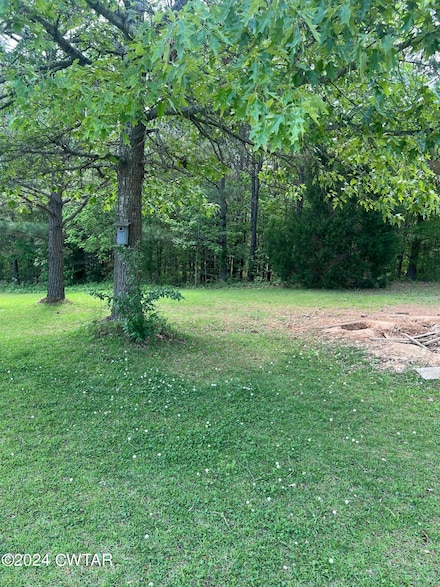 115 Calvin Dr, Jackson, TN 38301