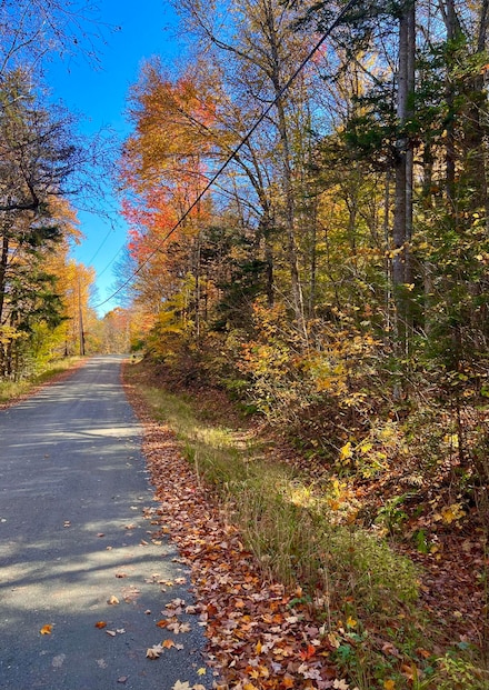 M17 L13,34 Edelheid Rd, Sandy River Plantation, ME 04970