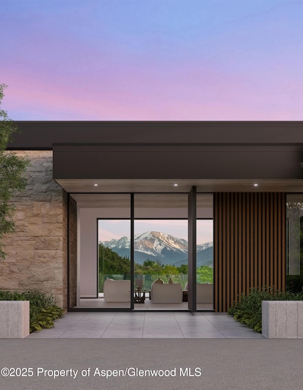 401 Carroll Dr, Aspen, CO 81611
