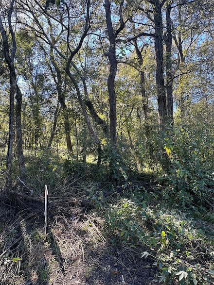 00 Oak Forest Dr, Guy, TX 77444