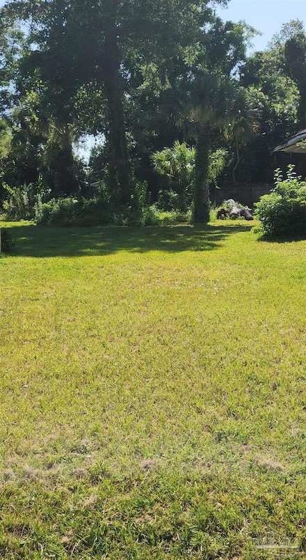 800 N Hayne St, Pensacola, FL 32501