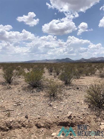 Lot 19 Upper Palomas Subdivision, Williamsburg, NM 87942