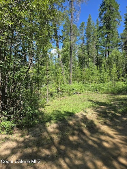 376 Geronimo Ln, Sandpoint, ID 83864