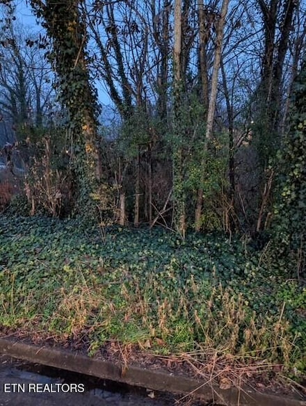 950 Cumberland St, Harriman, TN 37748