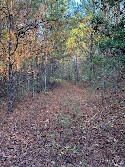 0 Bama Ln, Woodstock, AL 35184