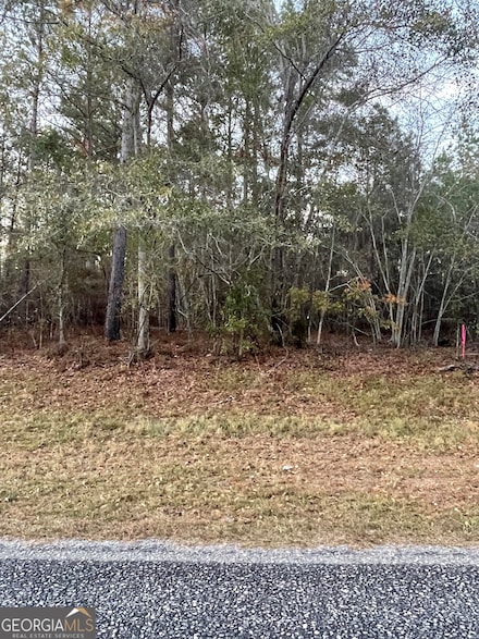 0 Canoochee Bypass Unit 10642529, Twin City, GA 30471