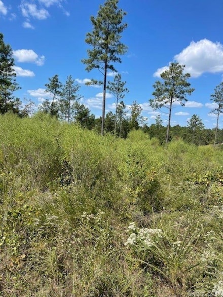 Lot 1BR Highway 298, Benton, AR 72019