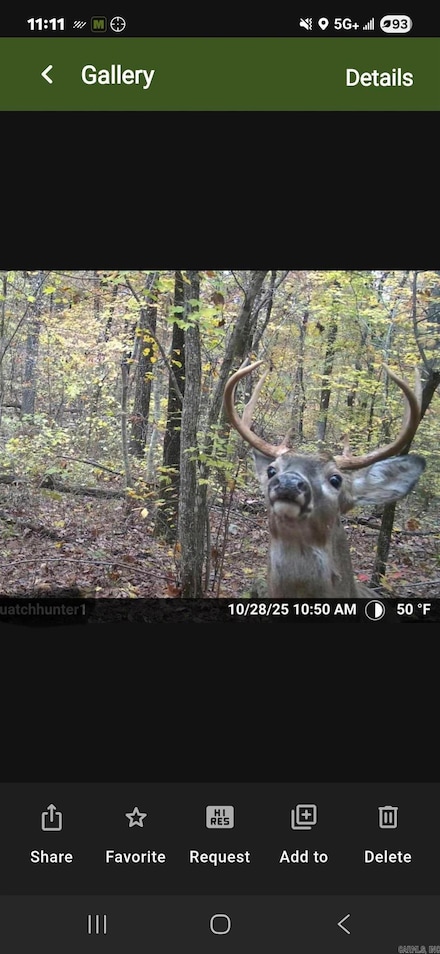 255 Unbreakable Rd, Marshall, AR 72650