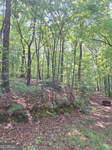 0 Sun Rock Mountain Trace Unit 10539230, Blue Ridge, GA 30513