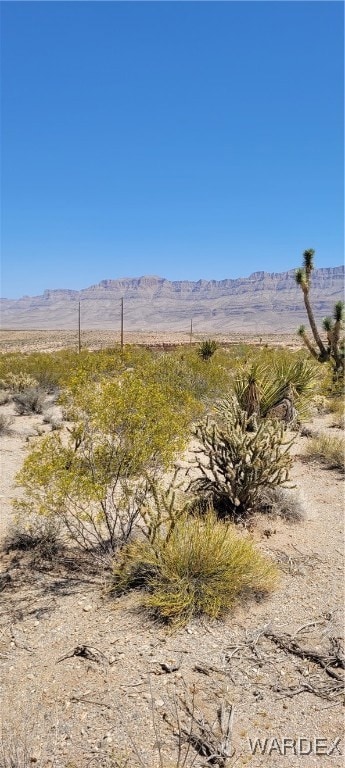 1205 E Spencer Dr, Meadview, AZ 86444