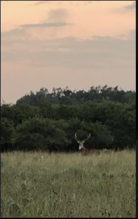 465 Mountain Home Rd W, Mountain Home, TX 78058