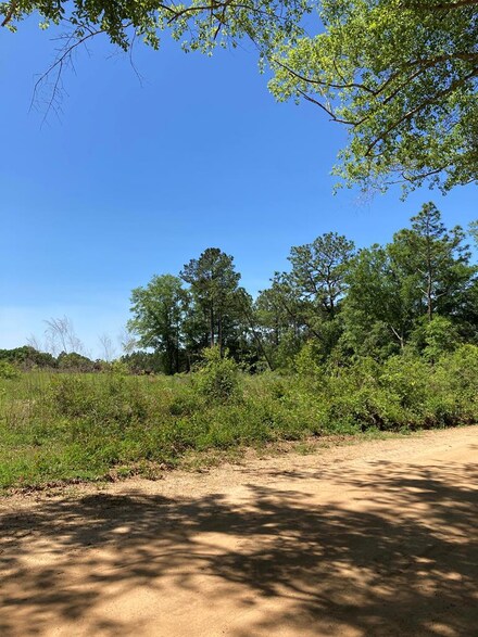 0 P T Salter Rd Unit 135024, Poulan, GA 31791