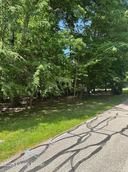 Lot 246 Pine Point Rd, Brandenburg, KY 40108