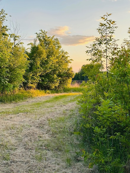 TBD Hwy 19 / Lonsdal Lonsdale Blvd E, Bridgewater Township, MN 55057