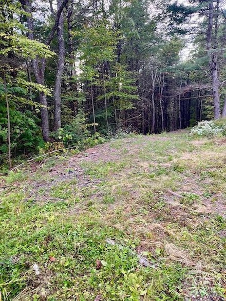 0 Old Ghost Rd Unit 154524, New Lebanon, NY 12029