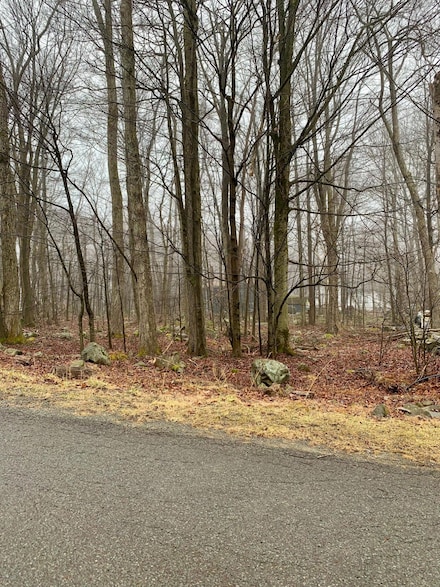 382 Fairmount Way, Coolbaugh Township, PA 18466