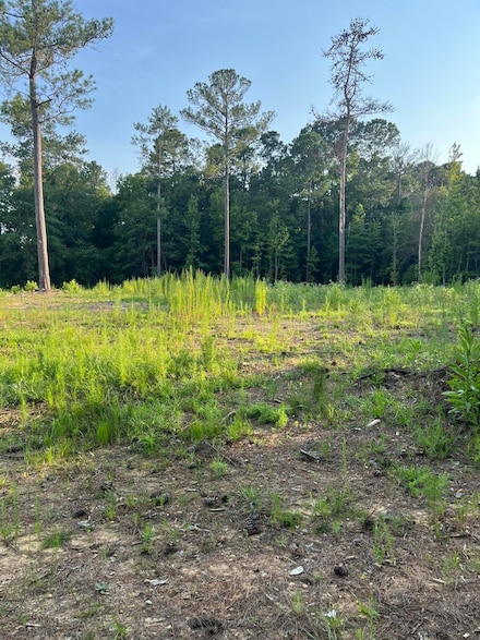 3171 Queensway, Orangeburg, SC 29118