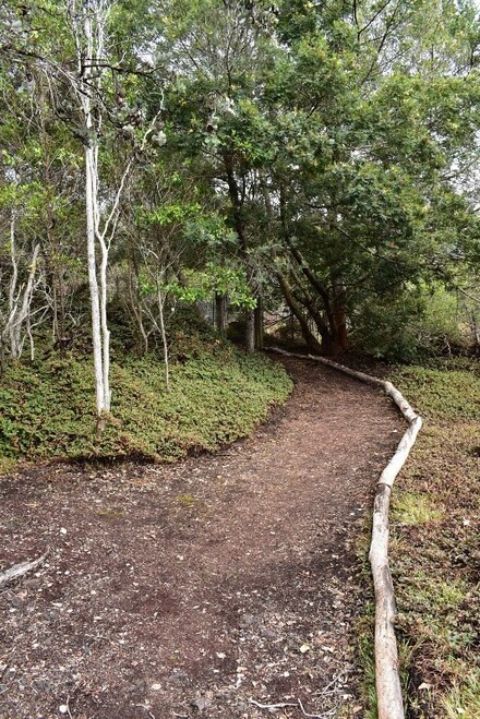 92-8925 Koa Ln, Ocean View, HI 96704