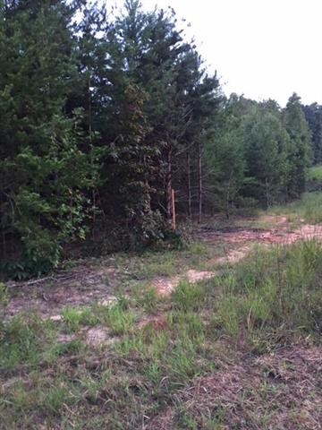 00 Wellman Rd, Taylorsville, NC 28681