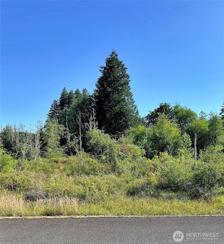 0 Basie Rd, Castle Rock, WA 98611