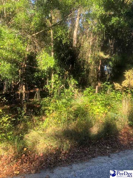 2440 S Robeson Ave, Florence, SC 29505