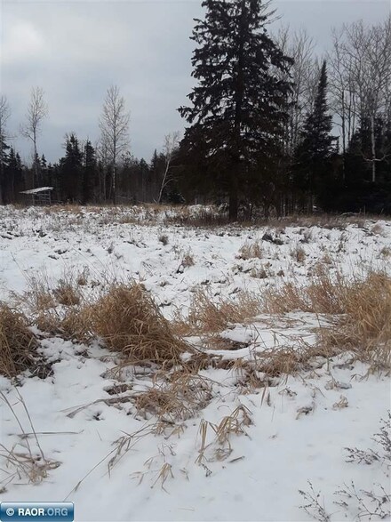 3137 Highway 53, Orr, MN 55771
