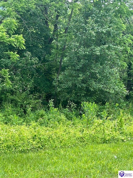 Lot 908 Primrose Ln, Doe Valley, KY 40108