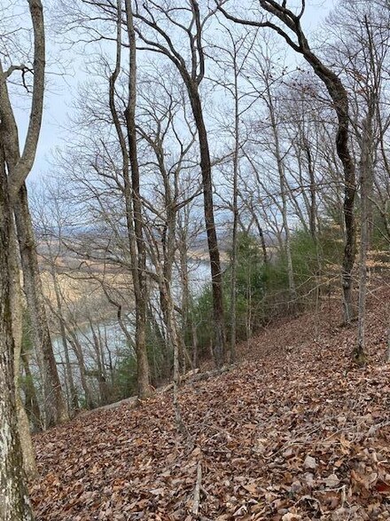 Lot 5 River Rd, Decatur, TN 37322