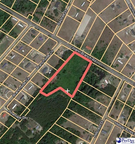 LOT 84 & 85 Joann Branch Rd, Lake View, SC 29563