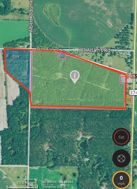 132.44 Acres On Canaan Odom Rd, Donalsonville, GA 39845