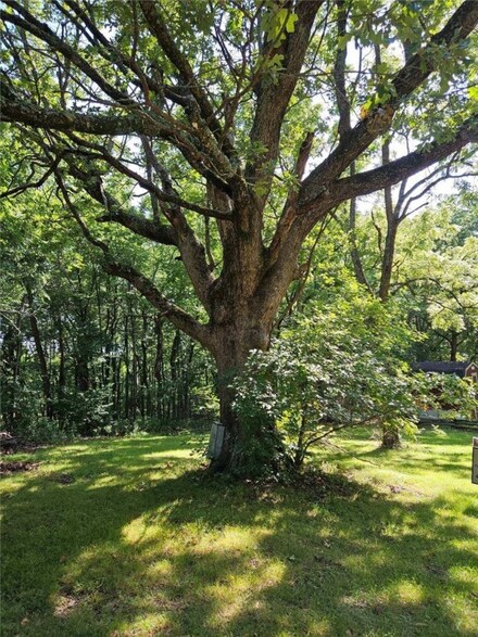 184 Silver Ridge Rd, Eureka Springs, AR 72632