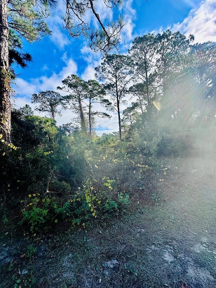 120 Laughing Gull Ln, Carrabelle, FL 32322