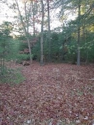 0 Root Rd, Westfield, MA 01085