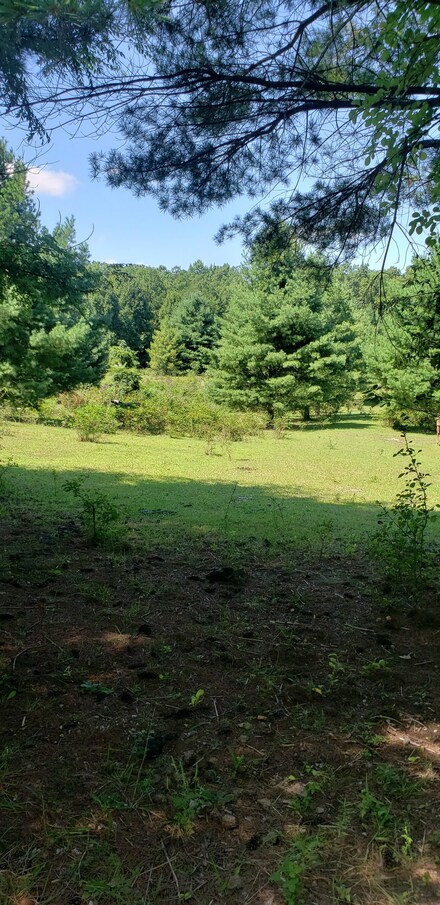 0 Lewis Rd, McMinnville, TN 37110