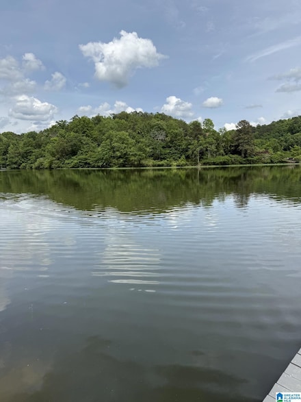lot 4 Lakeshore Cir Unit 4, Warrior, AL 35180