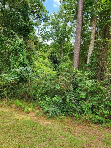 Lot 70 Lakeside Dr, Carriere, MS 39426