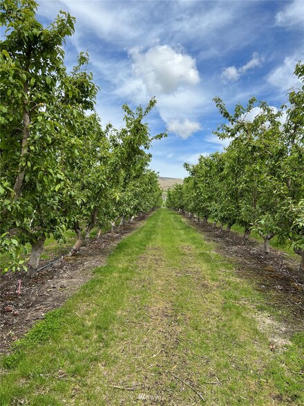 474 Jack Wells Rd NE, Bridgeport, WA 98813