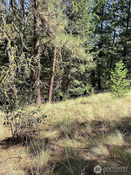 141 Lot Owl Rd, Tonasket, WA 98855