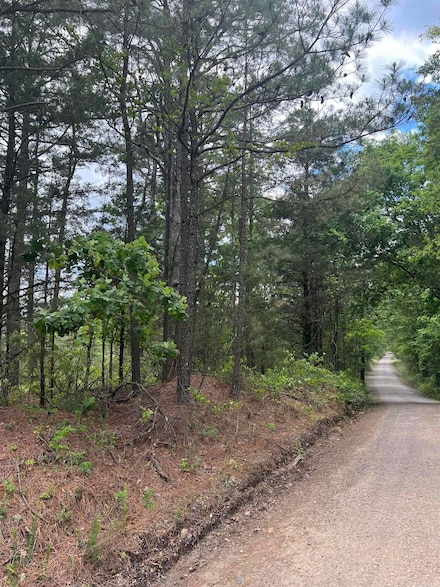 xx Dollar Rd, Glenwood, AR 71943