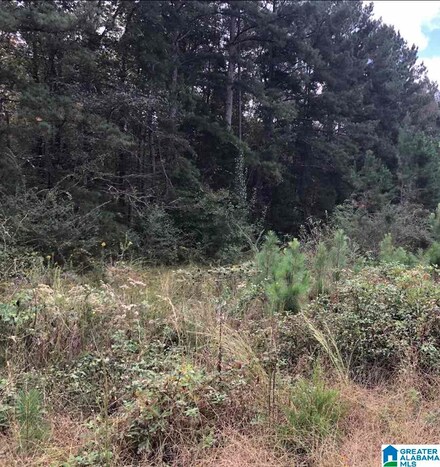 0 Thomaston Rd Unit 34 21423547, Lincoln, AL 35096