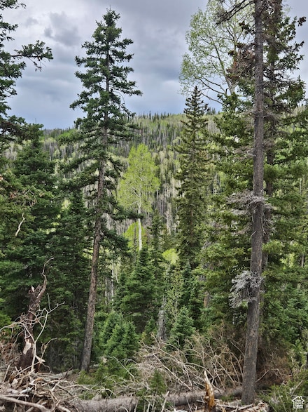 39 Unknown Unit 39, Beaver, UT 84713