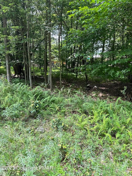 5 Canoe Trail, Coolbaugh Township, PA 18347