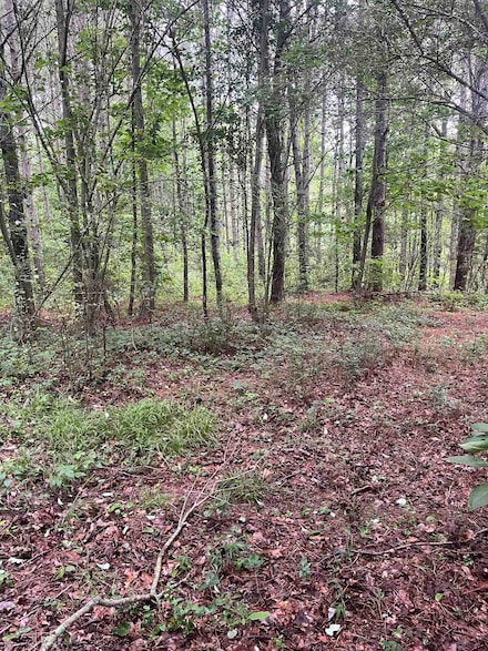 179 County Road 939, Cullman, AL 35057