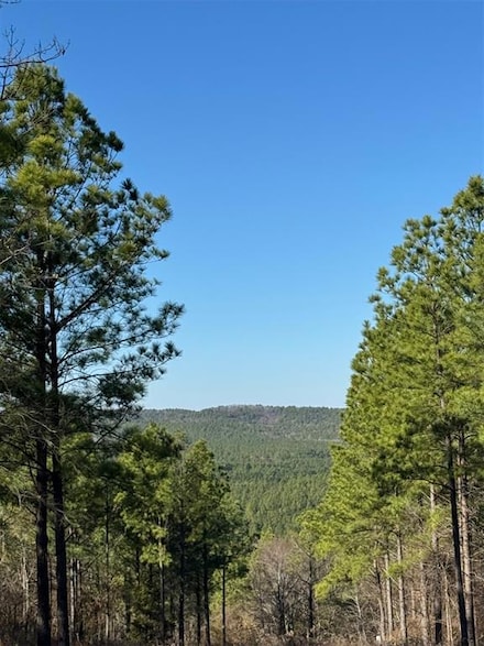 85 Timber Holler Trail, Broken Bow, OK 74728